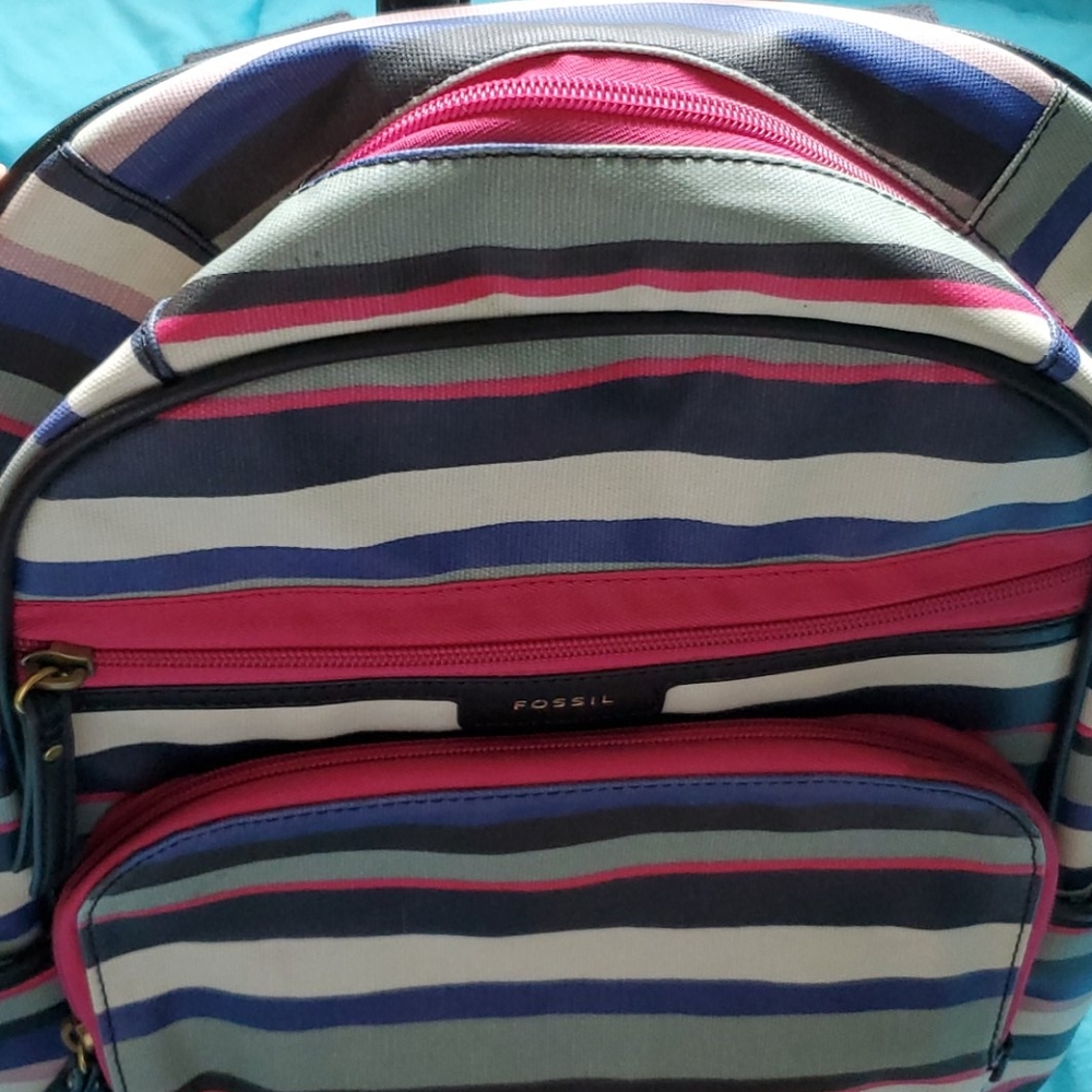 Fossil Striped Backpack - Gem display picture 3